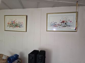 Framed Floral Watercolor Prints Set of 2