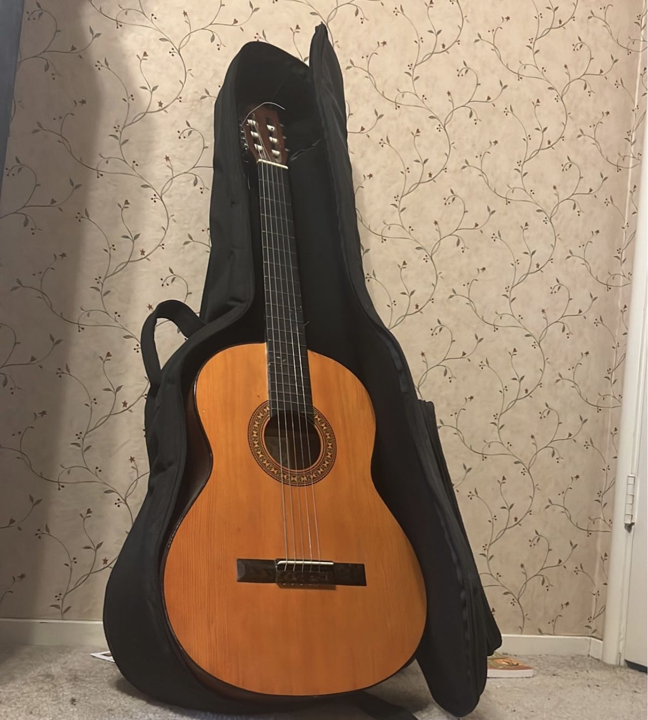 Acoustic Guitar