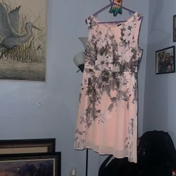 dress size XL