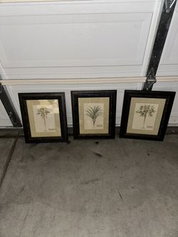 Set Of 3 Palm Pictures