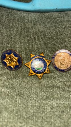 LVMPD pins