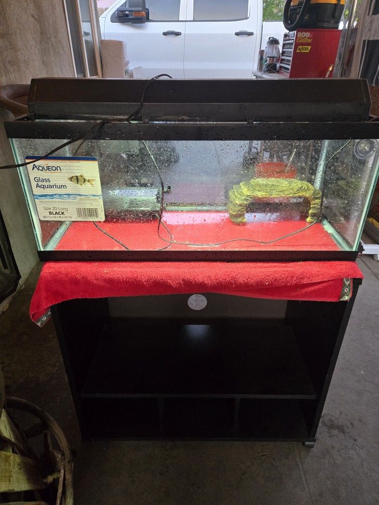 Fish Tank