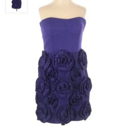 Cynthia Steffe Cocktail Dress
Size 0