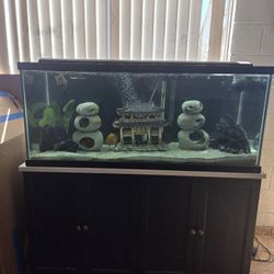Fish Tank and Stand 75 Gallons 