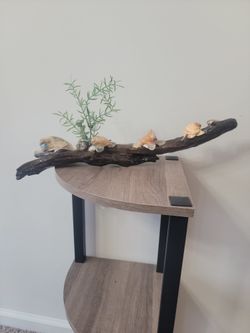 Driftwood And Shell Turtle Decor