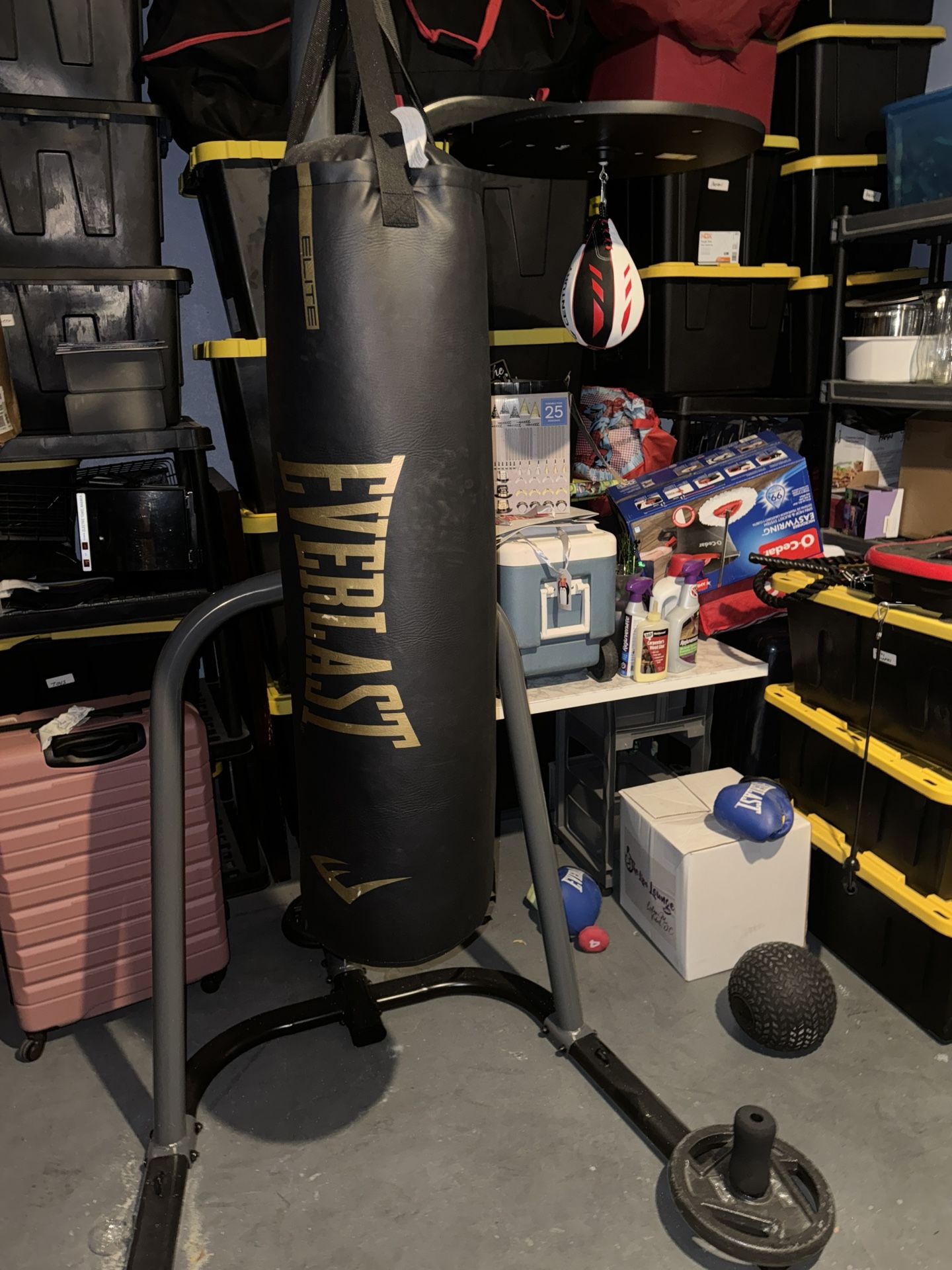 Everlast Heavy Bag And Stand With Speed Bag + Everlast Reflex Bag