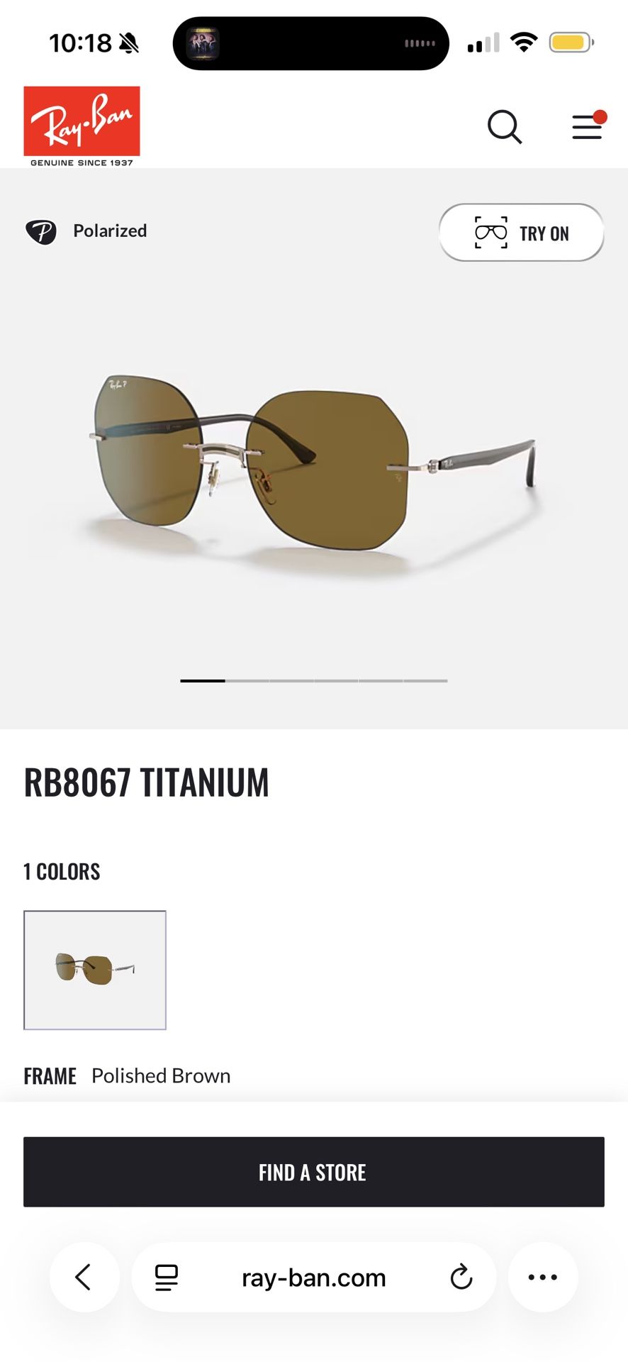 Polarized Titanium Ray-Ban Frame