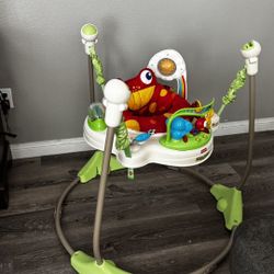 Baby Bouncer 
