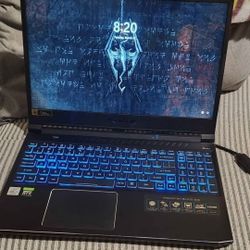 Acer Predator Helios 300 15.6" RTX 2060, 144Hz,  i7-10750H 2.60GHz, 16GB RAM, 1TB SSD