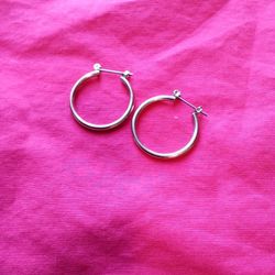 Silver Loop Earrings 