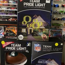 Team pride light