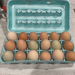 Farm Fresh Eggs
