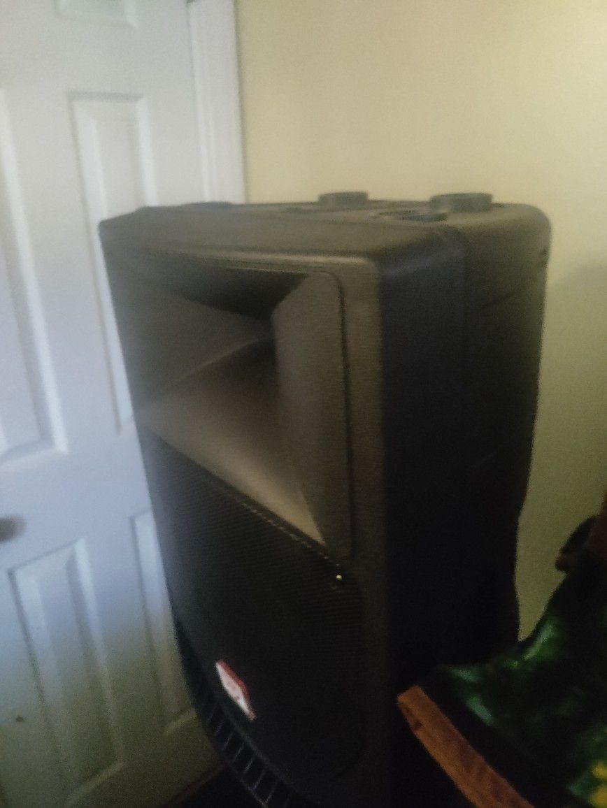 Powered Profesional Speakers