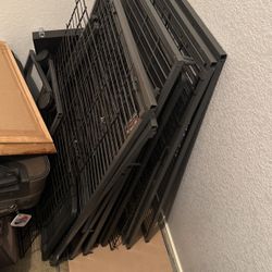 Ferret Nation Double Story Unit 