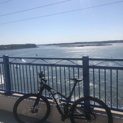 2019 Trek Top Fuel 8