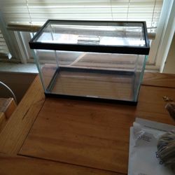 Fish Tank 