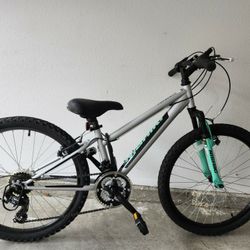 Nishiki Girls Mountain Bike 24 Inches (Pickup Before April 30) Used for 6 months only