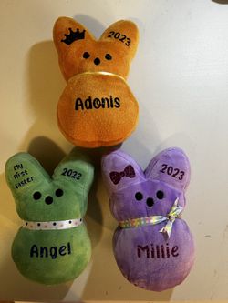Personalized Plush Bunnies