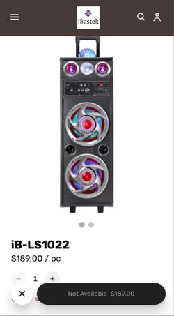 Ibastek Dual 10 Inch Speaker