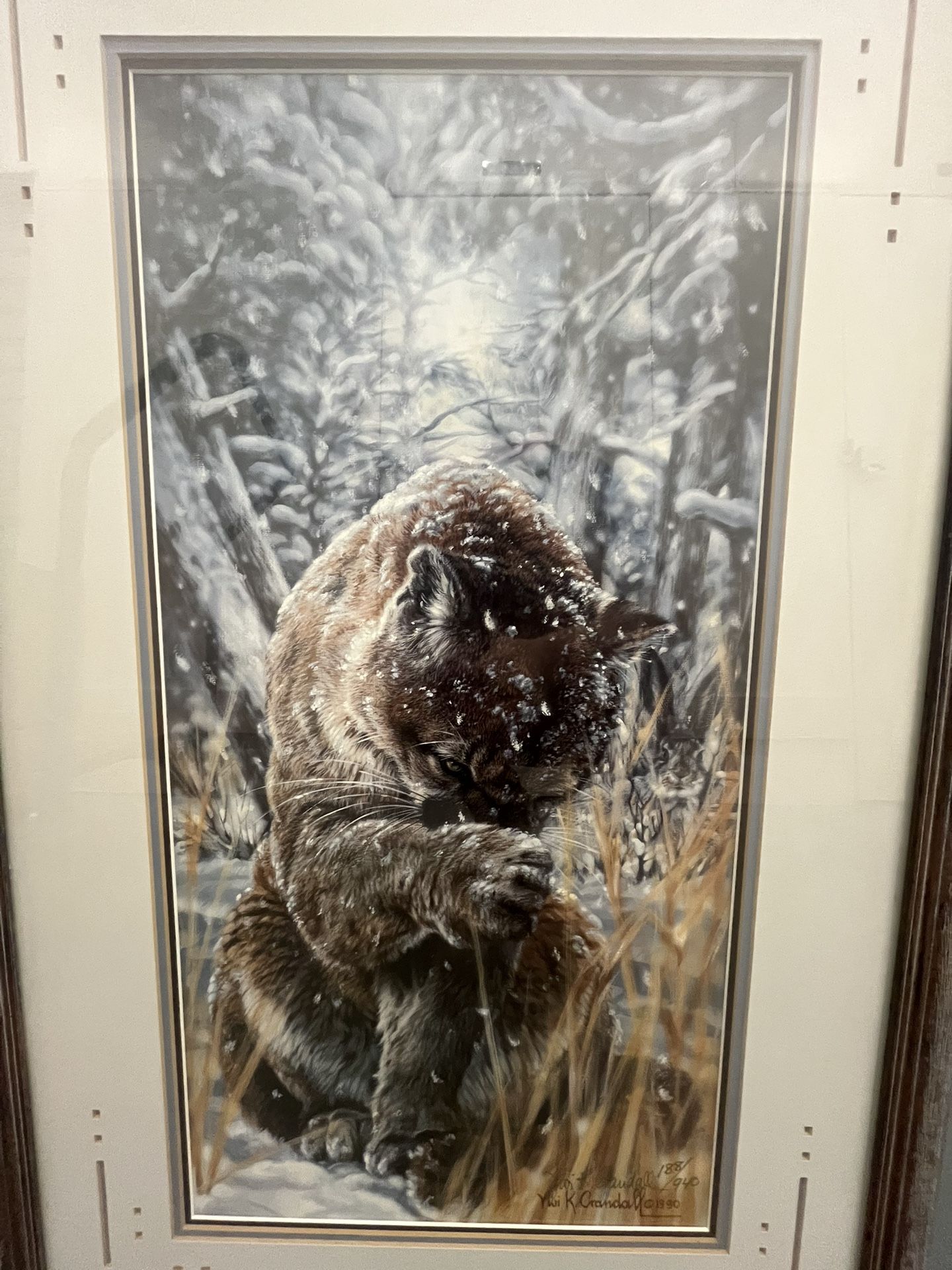 Vivi K Krandall “Snow Blind” Cougar CUSTOM FRAMED & SIGNED L.E. ART PRINT 188/940 *RARE*