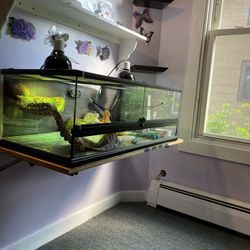 Reptile tank nothing wrong great shape  250