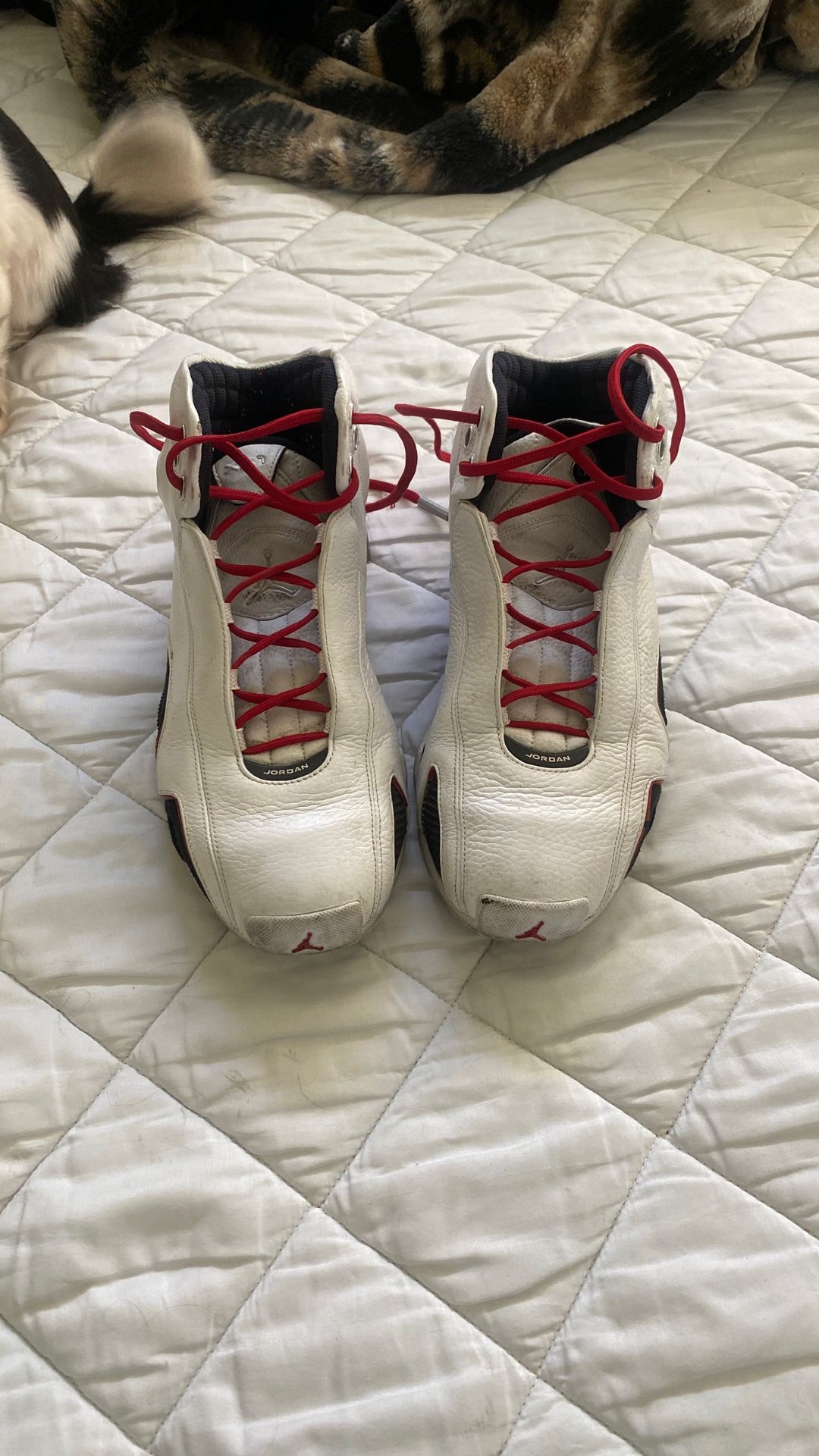 Jordan Size 9
