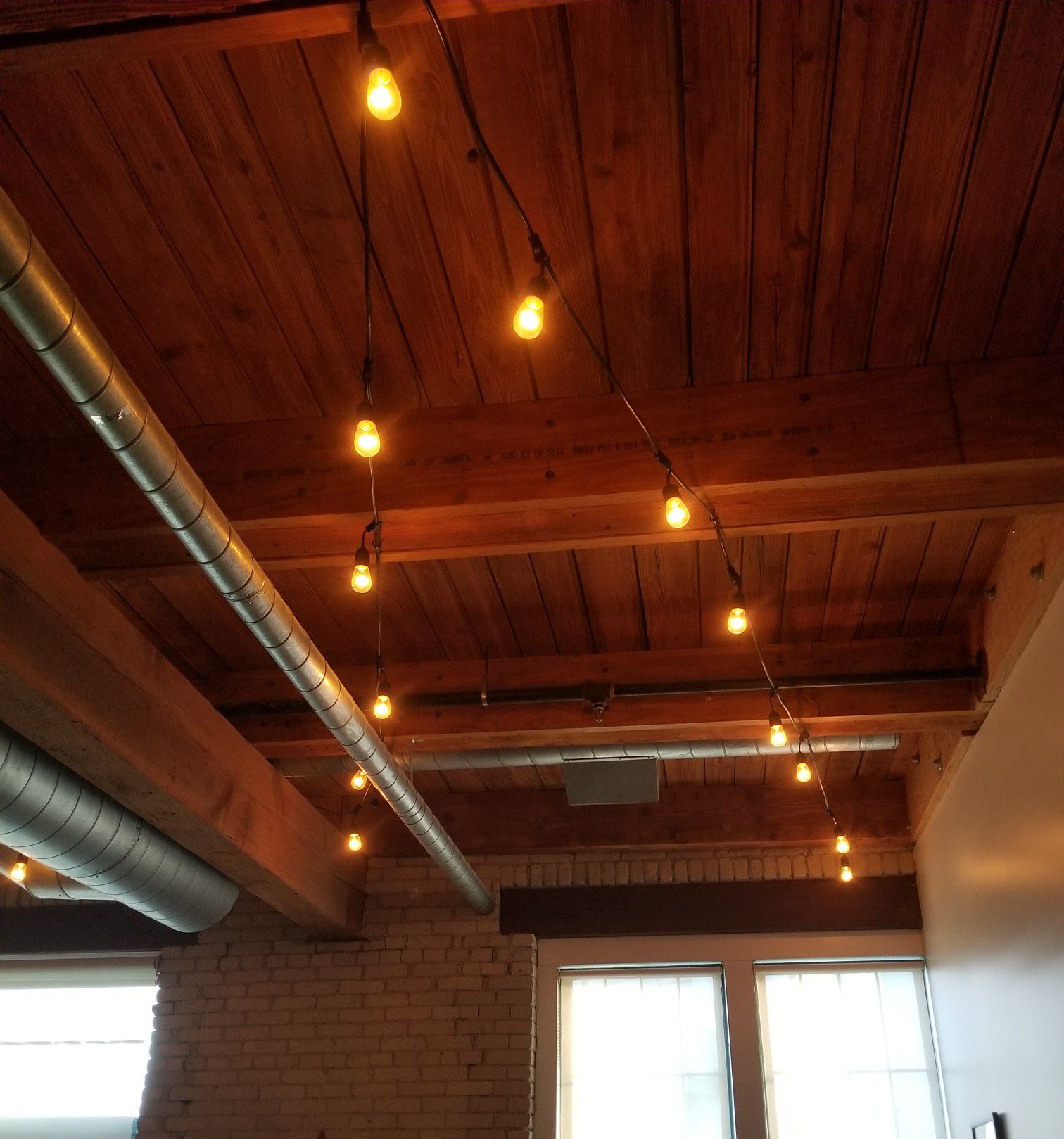 Outdoor/Indoor LED Hanging String Lights 48ft