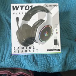 Tatybo WT01 Wirelesss Bluetooth Gaming Headset for PC PS5 PS4 2.4Ghz USB Dongle