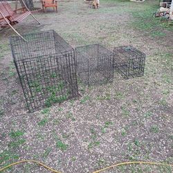 1 Large kennel and 2 small