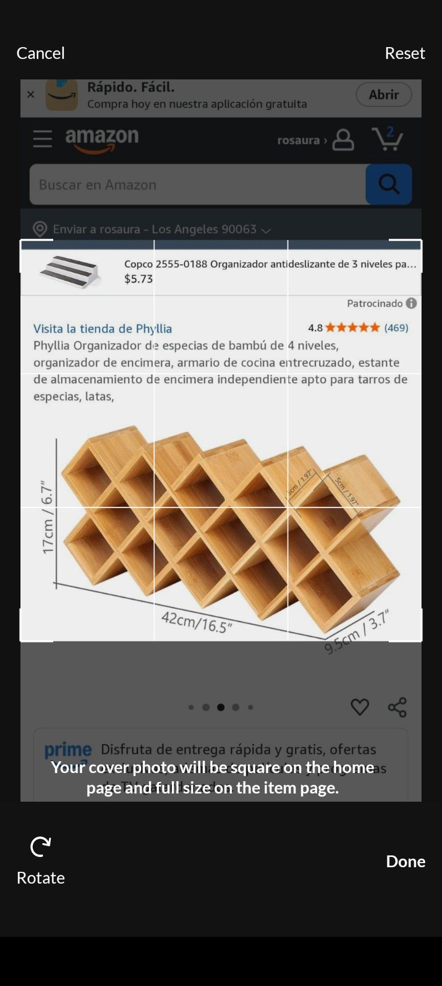 Organizador De Species