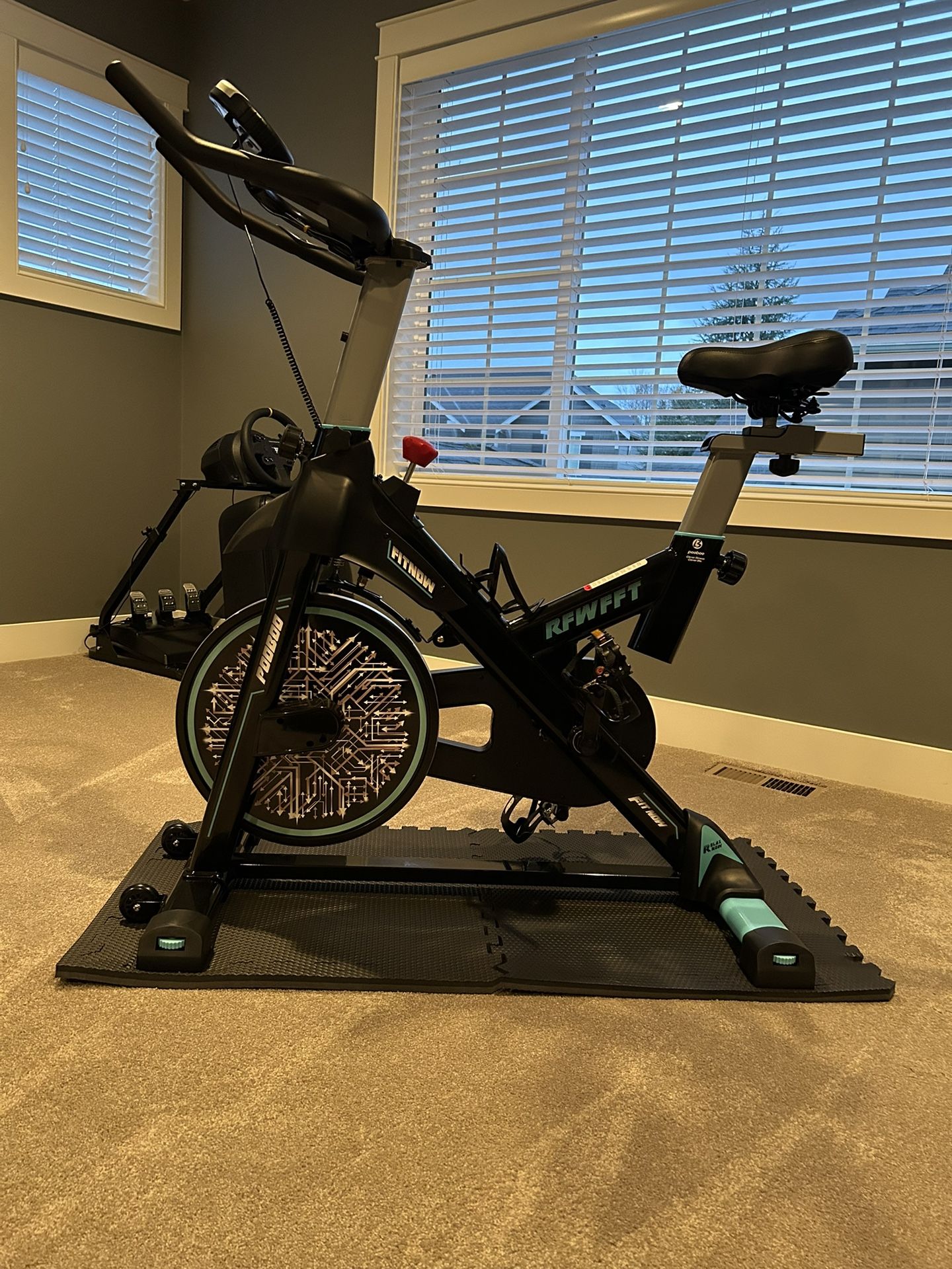 Pooboo Exercise Bike And Mats