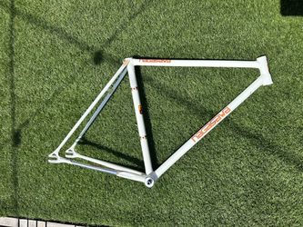 Rare Nagasawa NJS frame
