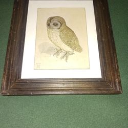 Vintage Albert Dürer " Owl " Print.