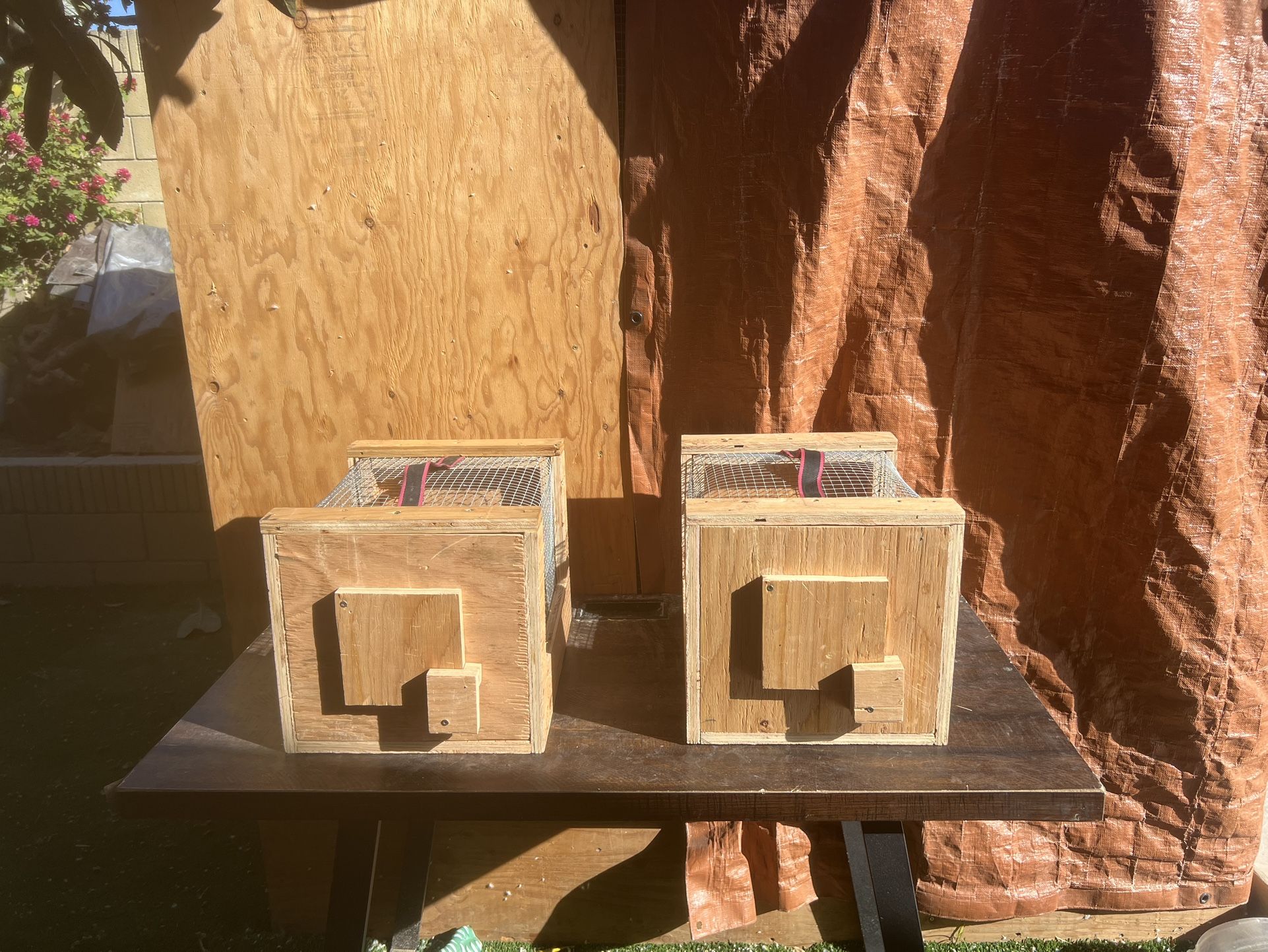 Bird Cages