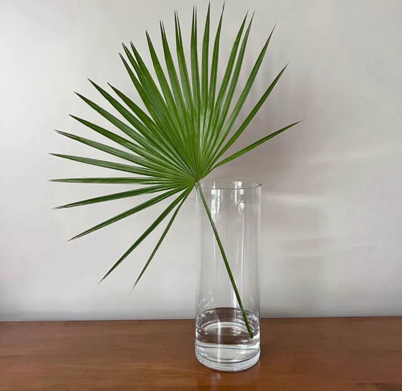16” x 6” Glass Cylinder Vases (14 Total)