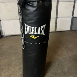 Punching bag Everlast