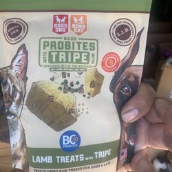 probiotic snacks for dogs/cats