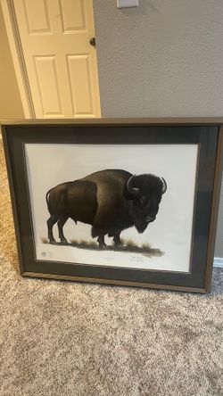 Framed Ray Harm Bison Lithograph “Monarch of the Plains”