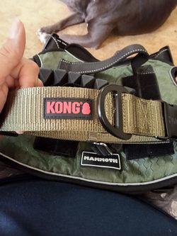 Kong dog collar