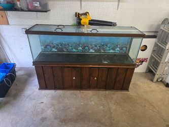 125 gallon fish tank with covers, heater, lights, and stand.