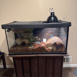 Reptile 40g Breeder Glass Tank 