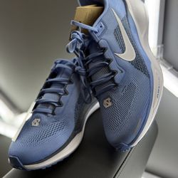 Nike Pegasus41 North Carolina