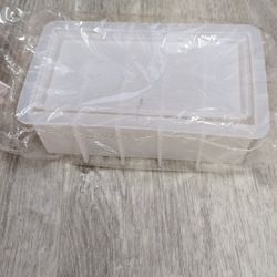 Domino's Box Mold