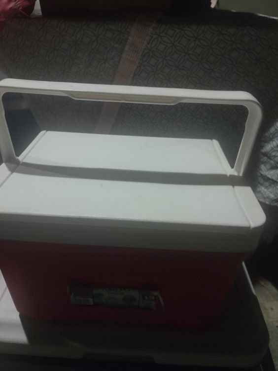 Cooler