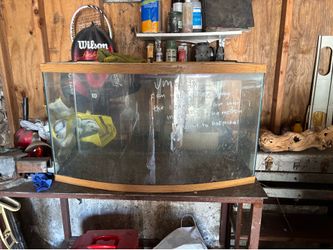 Aquarium w/top for lizards. No trades/low ballers will be blocked