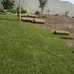 Sod,sprinklers Etc