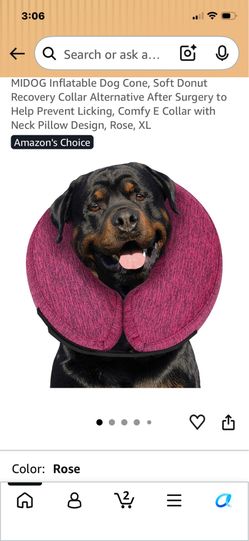 Dog inflatable