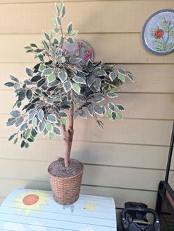 5 ft silk  accesory tree in pot.