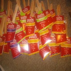 Wooster Paint Brushes 11 -2 1/2 And 22-3inch Brushes 