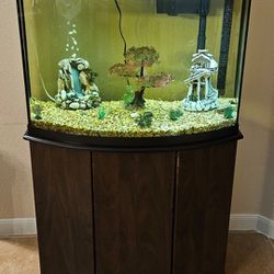 40 gallons fish tank with stand, water heater, filter, air pump, decorations, and automatic feeder